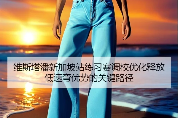 维斯塔潘新加坡站练习赛调校优化释放低速弯优势的关键路径